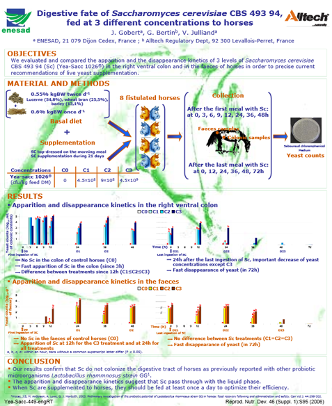 Digestive fate of Saccharomyces cerevisiae